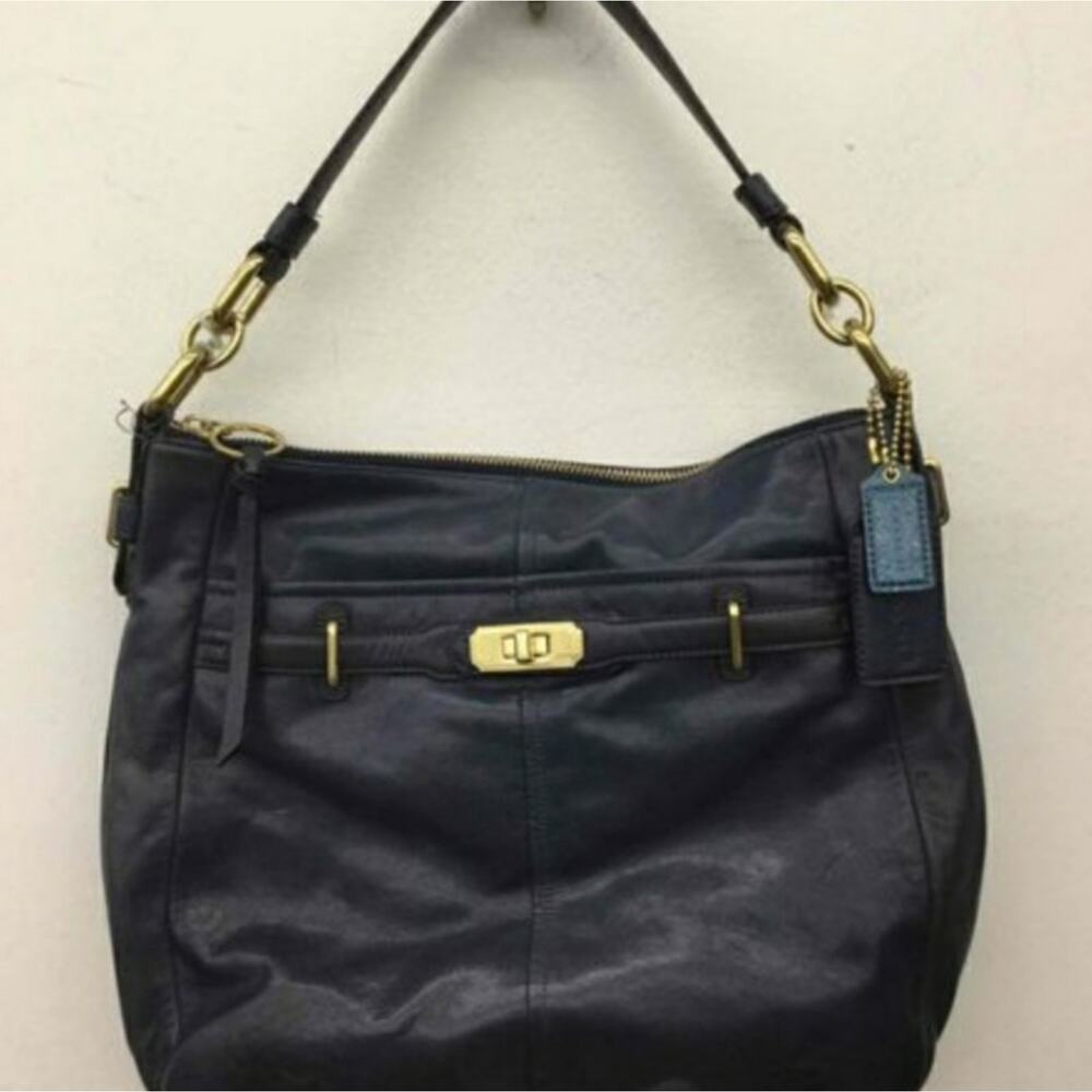 COACH ASHLYN CHELSEA LEATHER BAG